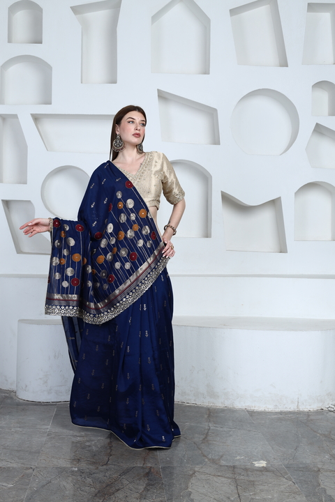 Mosaic Mirrorwork Saree