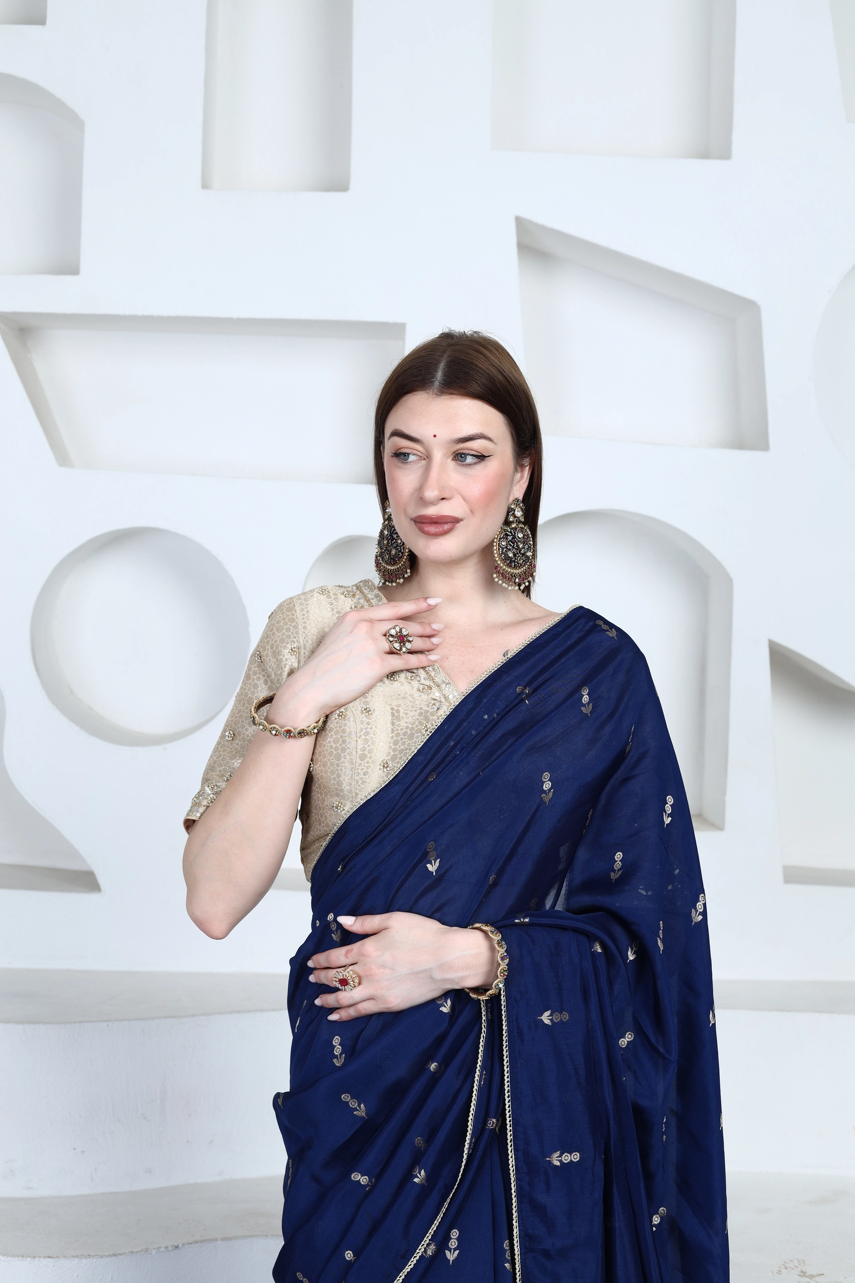 Mosaic Mirrorwork Saree Alternate