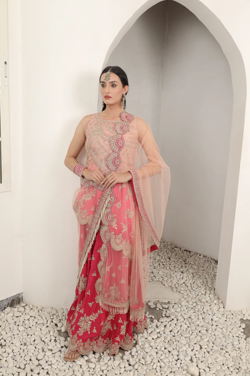 Blush Embroidered Sharara Suit